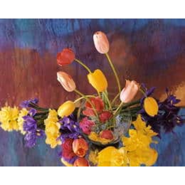 Tableau bouquet de tulipes multicolores CE161 1371644822