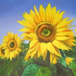 Peinture moderne de tournesols