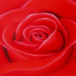 Peinture rose rouge