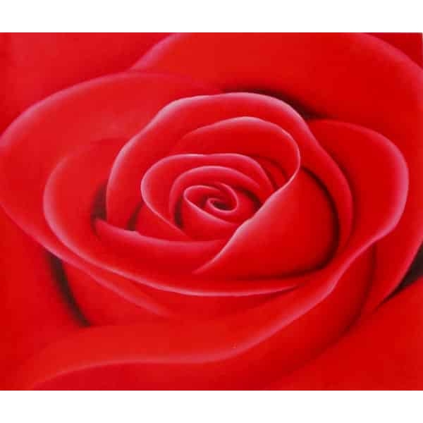 Peinture rose rouge HS3834 1341390842