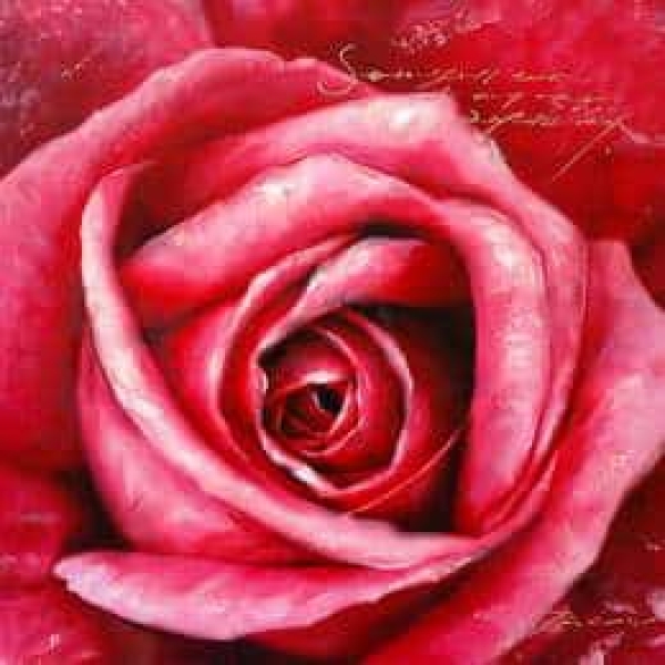 Peinture rose grand format TG 016 1368800519