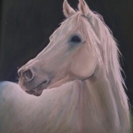 Peinture cheval blanc