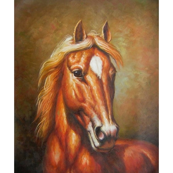 Peinture cheval marron peinture cheval 7526FC7526PO