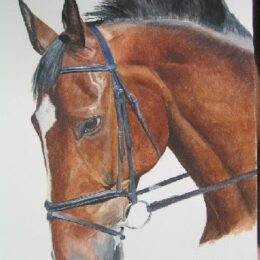 Peinture cheval marron