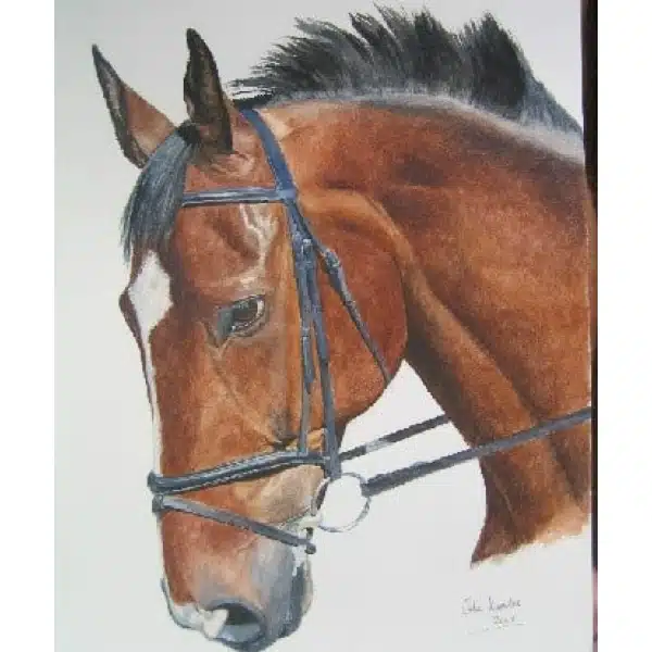 Peinture cheval marron peinture cheval 7535FC7535PO